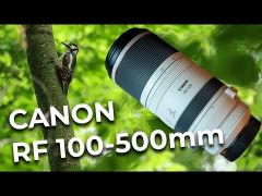 Canon RF 100-500mm f/4.5-7.1 L IS USM Lens SPOT DEAL