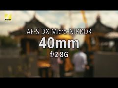 Nikon AF-S DX 40mm f/2.8G Macro Lens