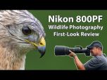 Nikon Z 800mm f/6.3 VR S Lens