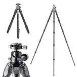 Benro Tortoise 35C with GX35 Ball Head
