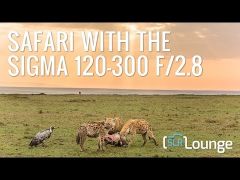 Sigma 120-300mm f/2.8 DG OS HSM Sports Lens for Nikon