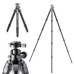 Benro Tortoise 35C with GX35 Ball Head