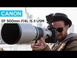 Canon EF 500mm f/4L IS II USM Lens No Longer Available 