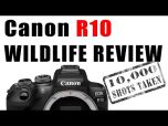 Canon EOS R10 + RF-S 18-150mm f/3.5-6.3 IS STM Lens SPOT DEAL