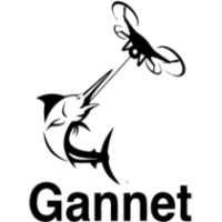 Gannet